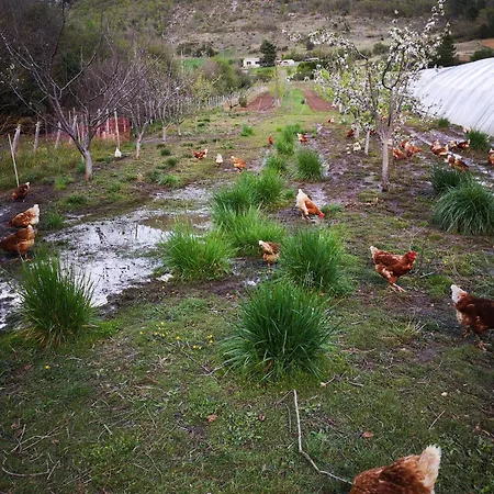 D'hote Dans Ferme Provencale Гостевой дом 3*