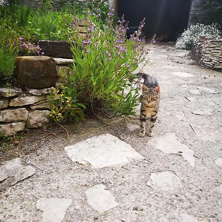 D'hote Dans Ferme Provencale Banon