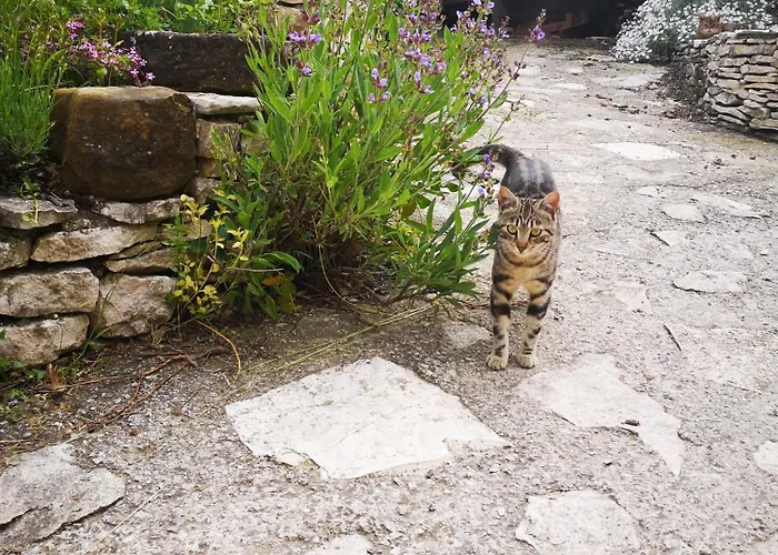 D'hôte Dans Ferme Provençale Banon